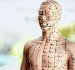 Online Courses by Dr. Richa Varshney