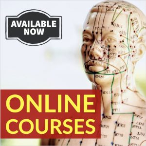 Online Video Courses